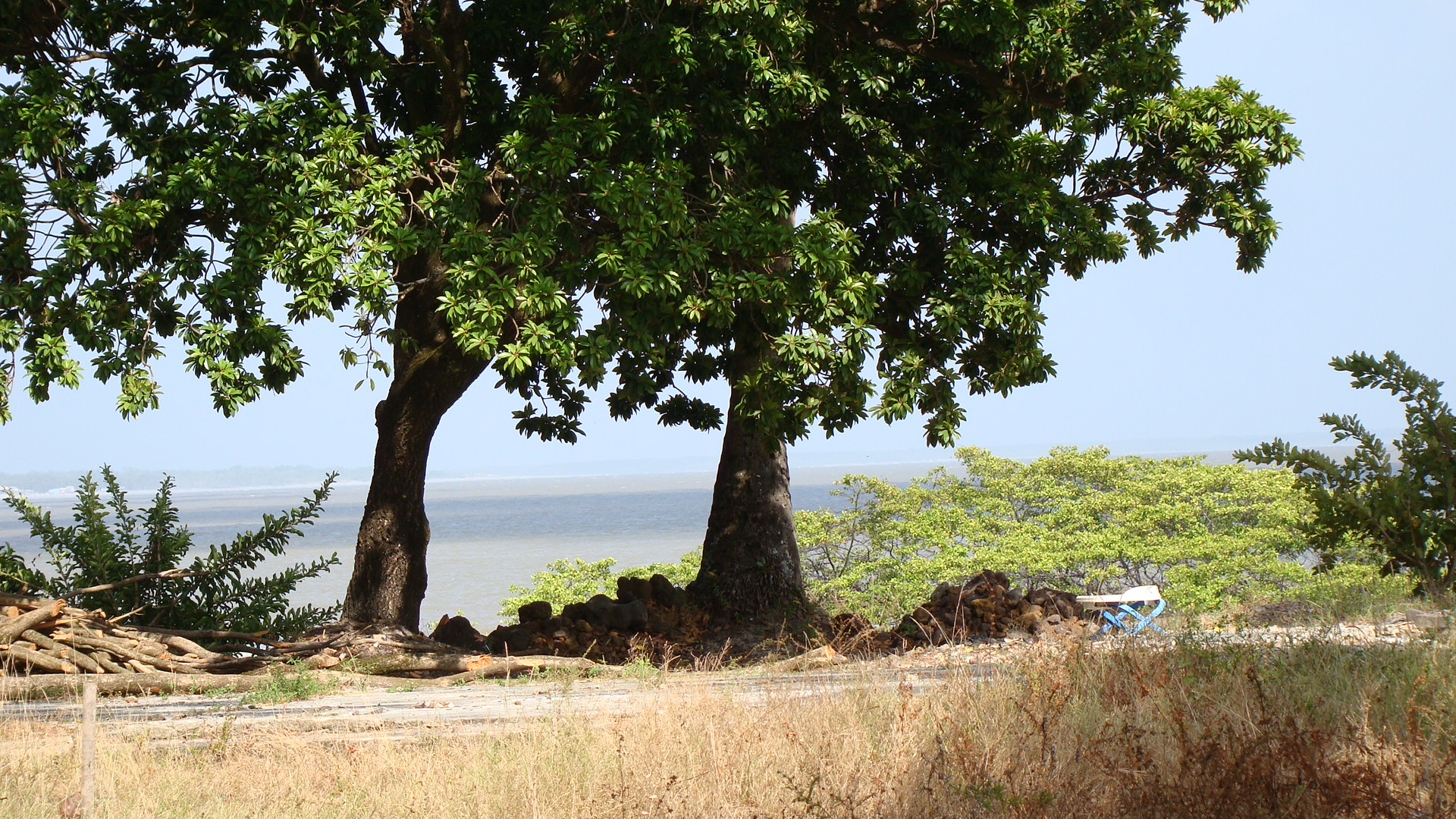Imagem de referência relacionada a Área de Proteção Ambiental de Algodoal-Maiandeua, item descrito como área de Proteção Ambiental de Algodoal-Maiandeua de nível Estadual, localizado (a) em Maracanã (PA)