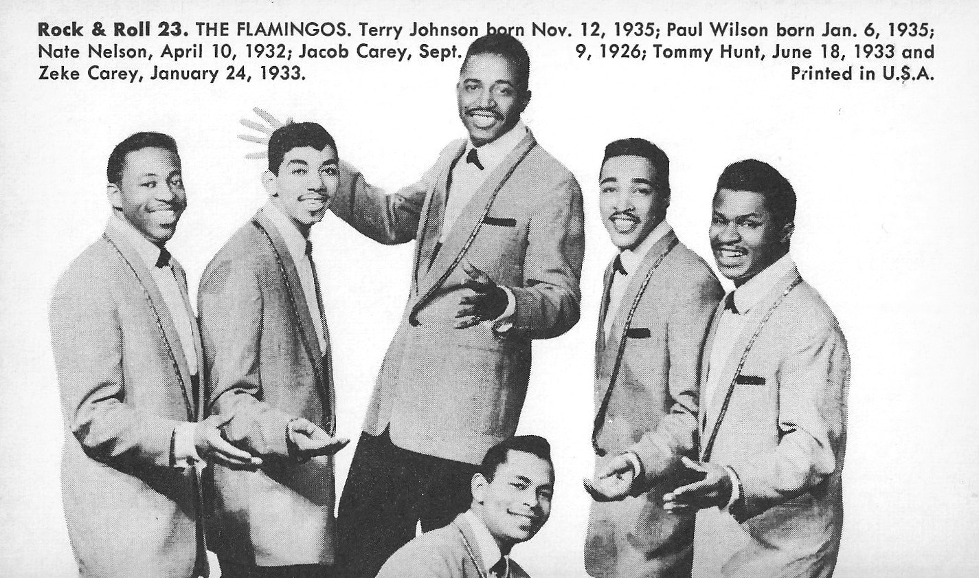 Imagem de referência de The Flamingos, descrito nos dados abertos como banda americana de doo-wop