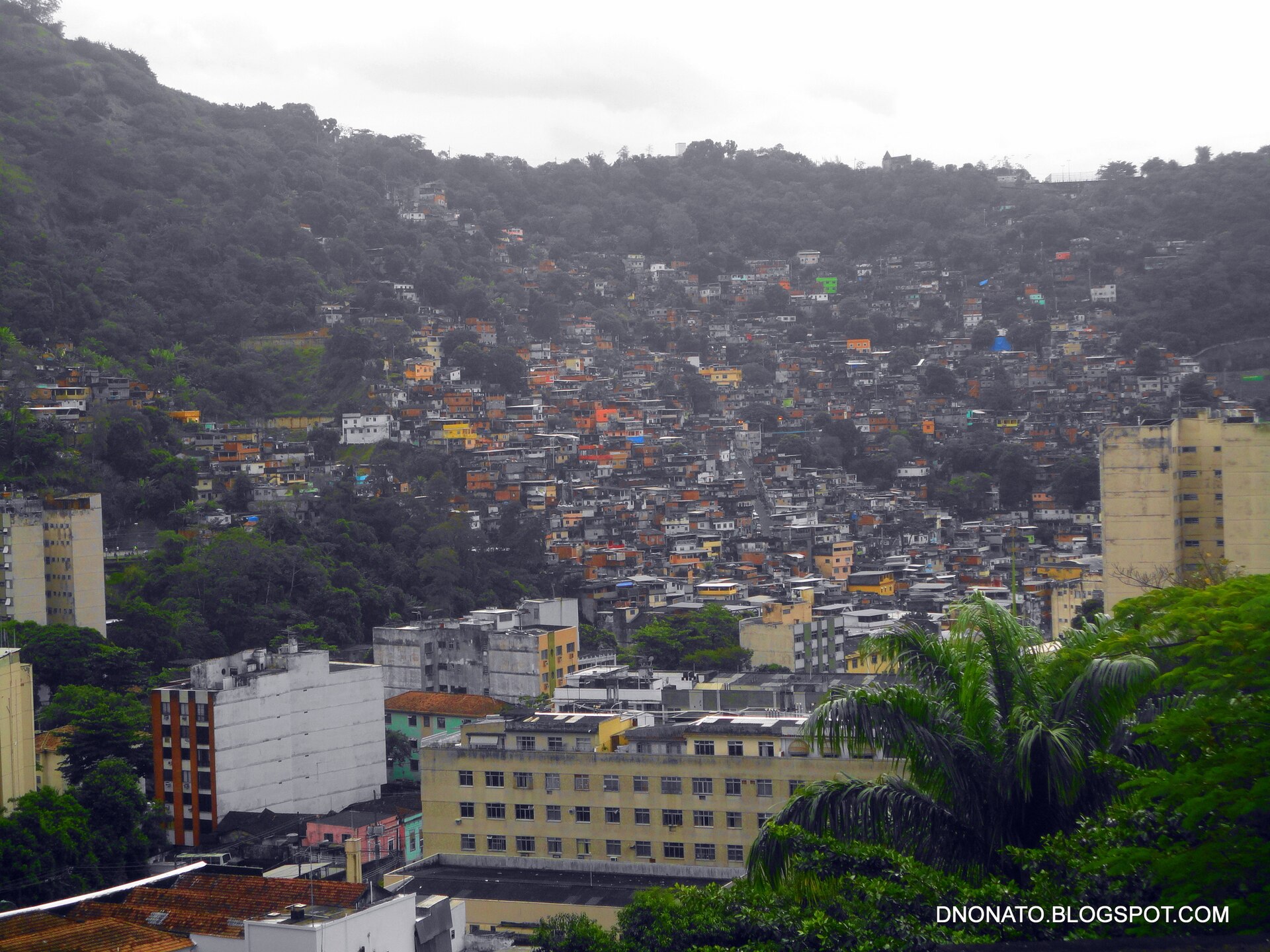 Imagem de referência relacionada a Morro do Borel, item descrito como favela localizada no bairro da Tijuca na zona norte do Rio de Janeiro