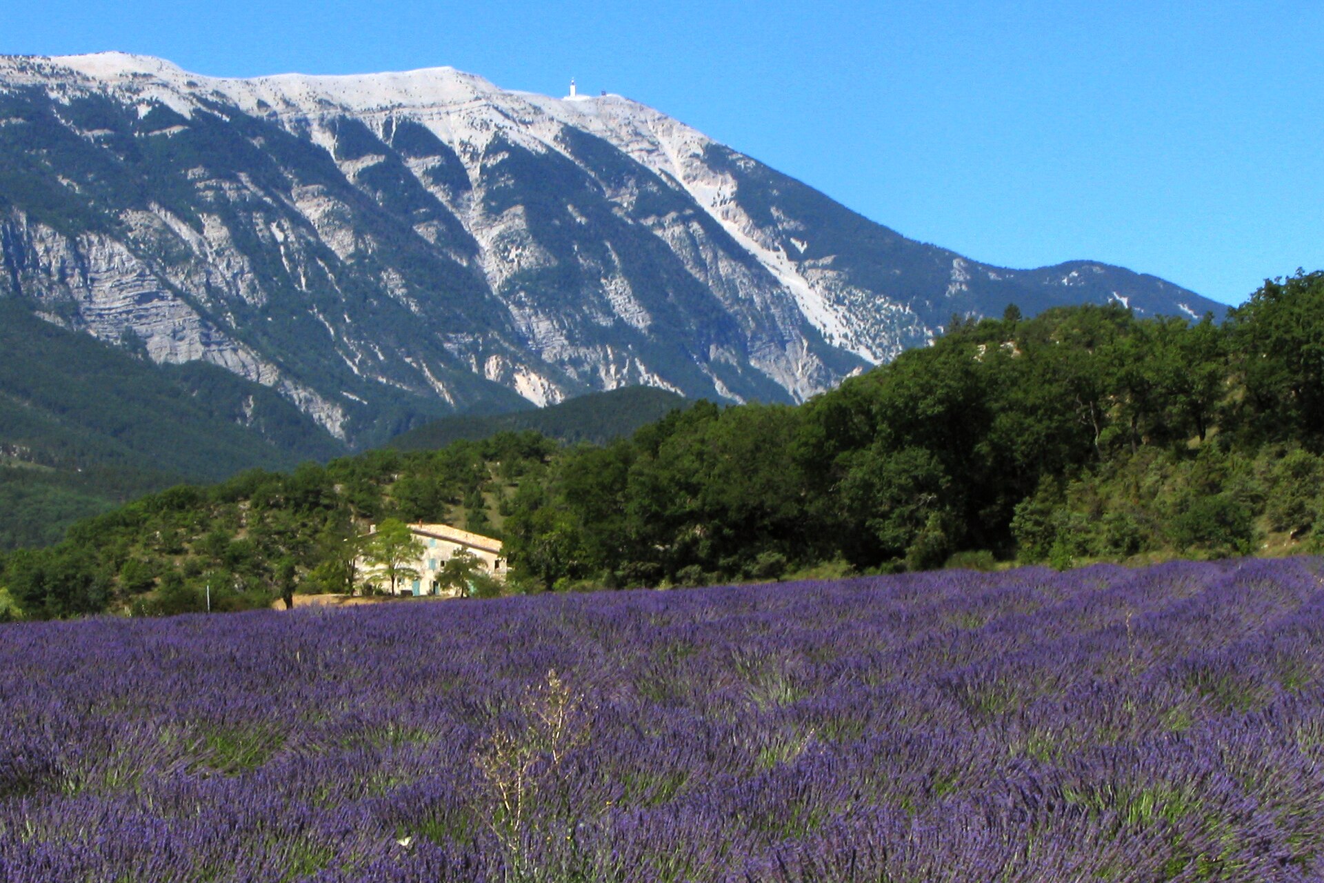 Imagem de referência de Provença, descrito nos dados abertos como região e província histórica em Provença-Alpes-Costa Azul, França