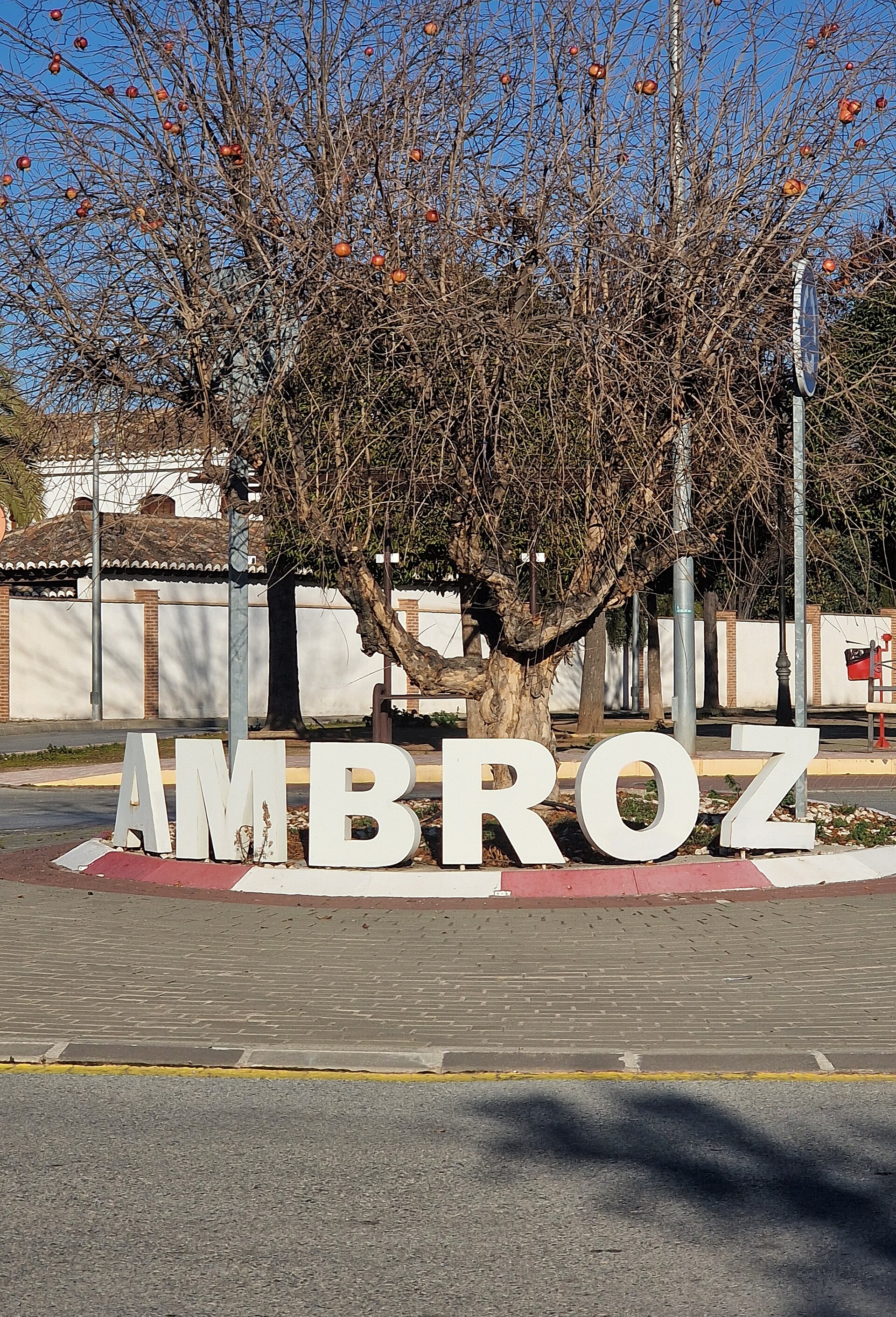 Imagem de referência relacionada a Ambroz, item descrito como registro de referência sobre Ambroz, organizado a partir de dados estruturados abertos