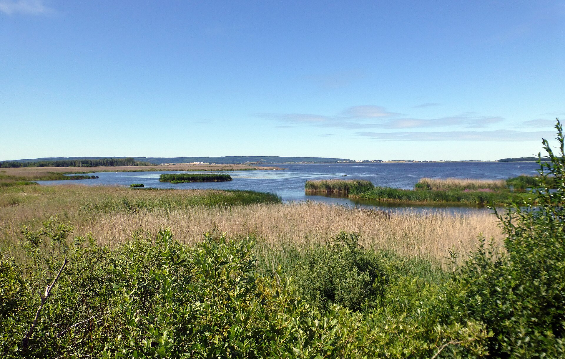 Imagem de referência de Tåkern, descrito nos dados abertos como reserva natural na Östergötland, Suécia