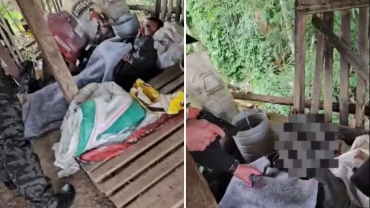 Homem é preso dormindo em galinheiro horas depois de tentar matar a ex