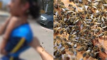 Motorista de aplicativo é morto a tiros e passageiro pula do carro para se salvar em Lajinha (MG)