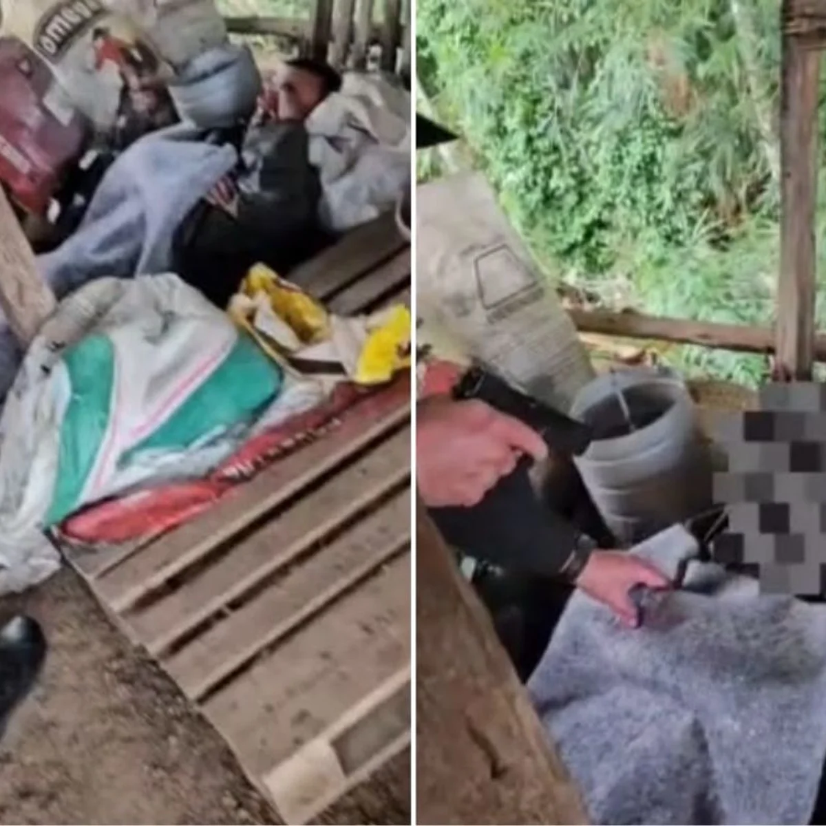 Homem é preso dormindo em galinheiro horas depois de tentar matar a ex