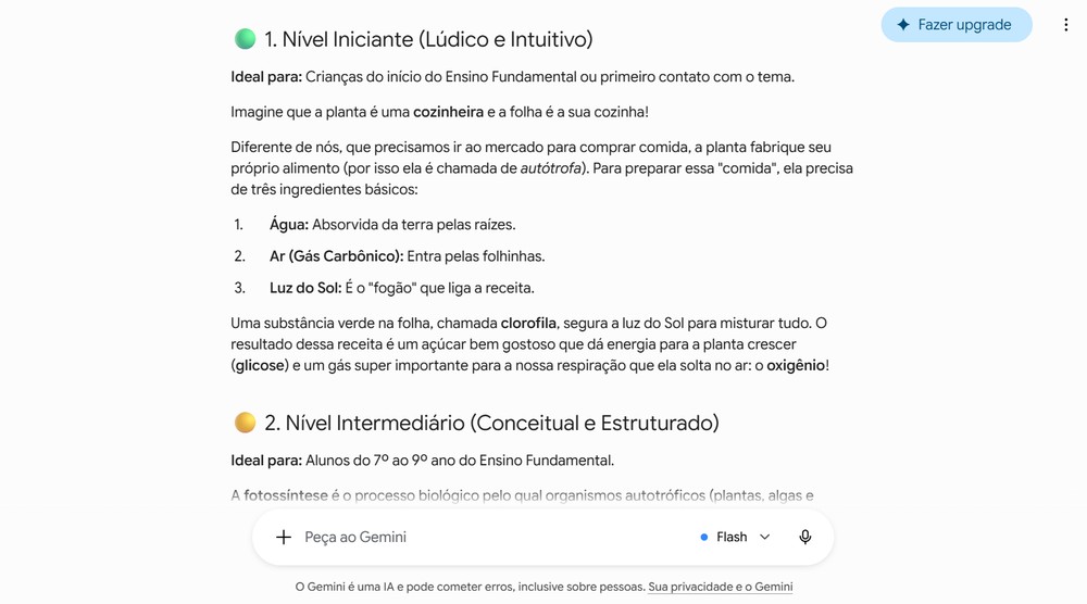 Explicação de tema escolar feita pelo Gemini — Foto: Captura de tela / Eduarda Melo