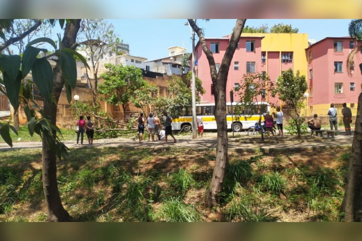 Ônibus escolar bate em poste e duas crianças ficam feridas em BH