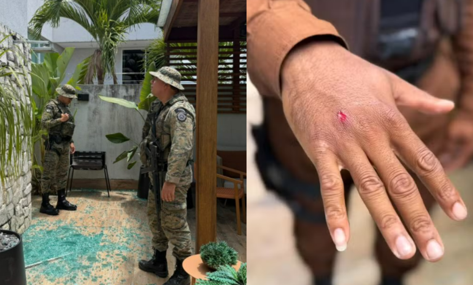 Macaco-prego invade casas na Bahia, ingere &aacute;lcool e deixa feridos antes de ser capturado pela Pol&iacute;cia