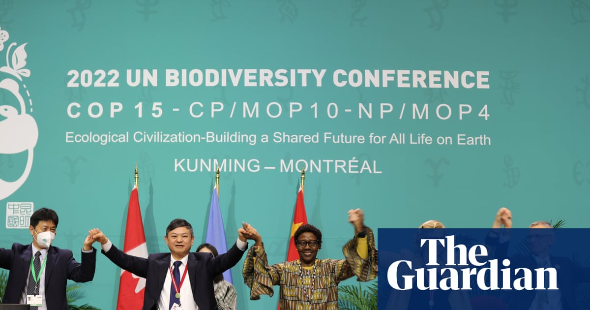 Quatro anos após as promessas da Cop15, nossos alvos de biodiversidade estão escorregando