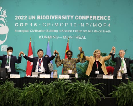 COP15 biodiversity conference leaders raise joined hands in celebration on stage