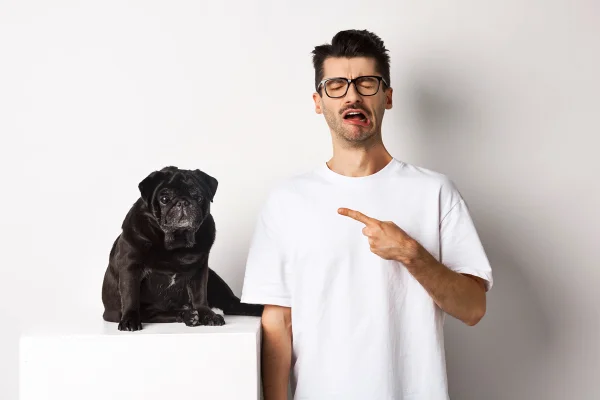 Afeto e mimos em excesso podem gerar dependência emocional nos pets