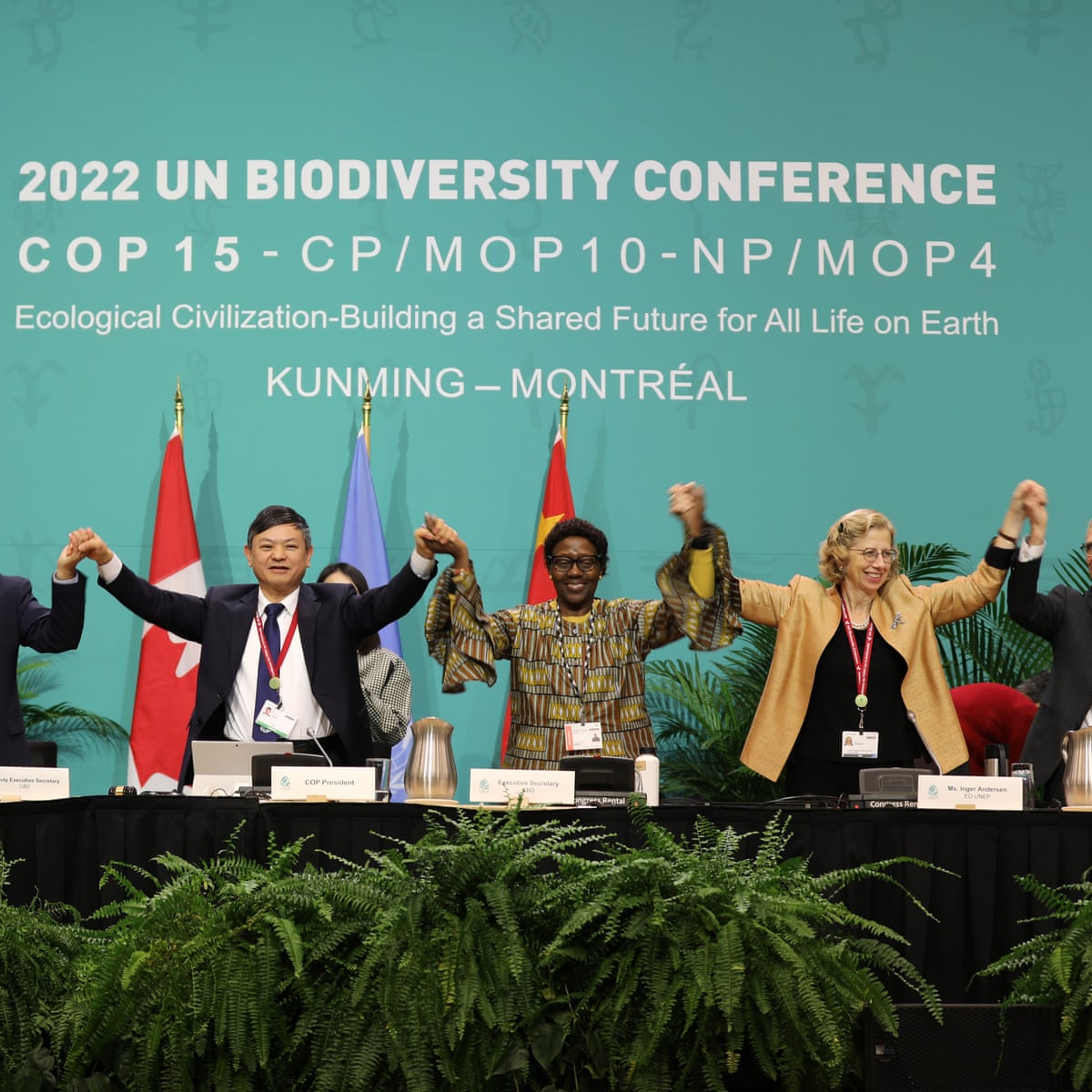 Quatro anos após as promessas da Cop15, nossos alvos de biodiversidade estão escorregando