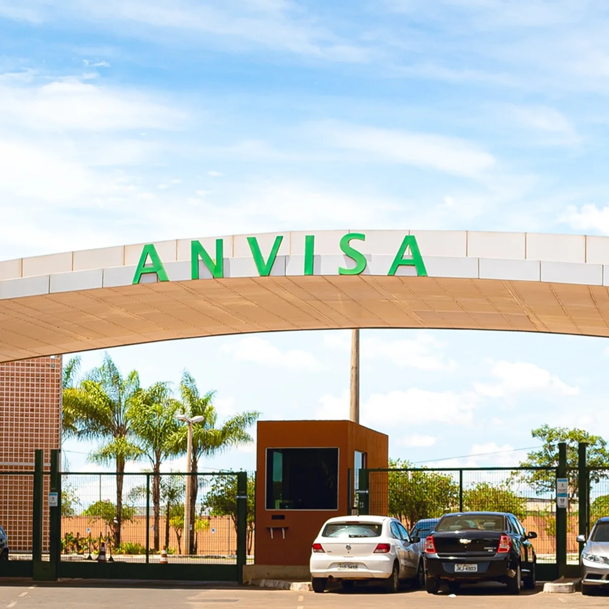 Anvisa proíbe insulina e tirzepatida vendidas de forma irregular