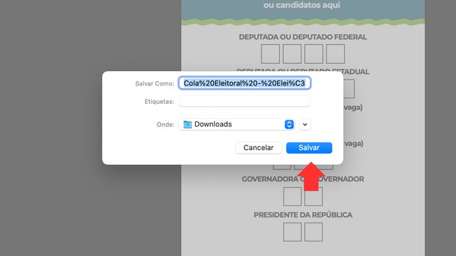 Cola eleitoral: como fazer e levar a anotação com números nas Eleições 2026