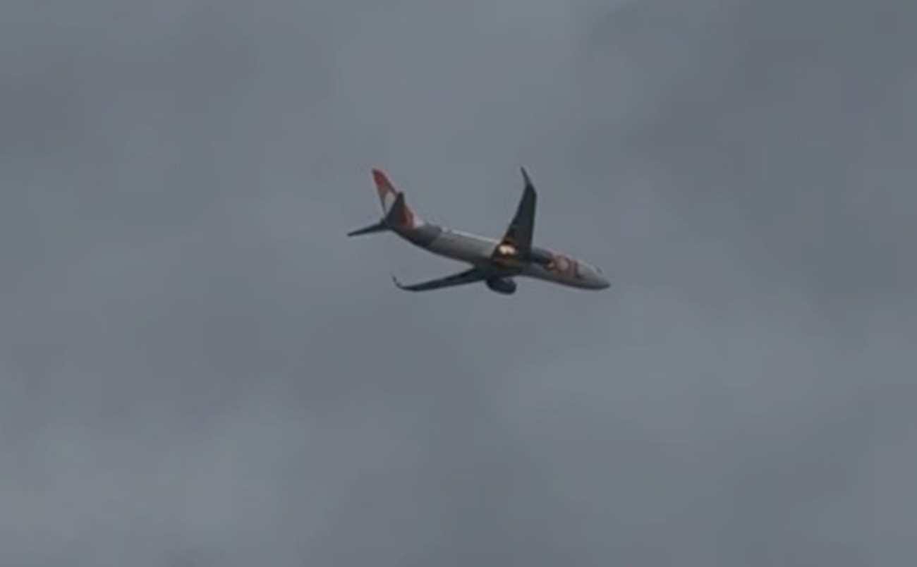 'Birdstrike': entenda incidente que fez motor de avião pegar fogo no Grande Recife