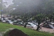 Estragos da chuva em São Paulo