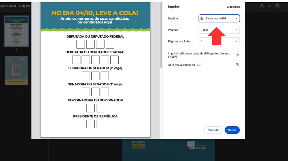 A cola eleitoral está disponível no site do TSE; veja — Foto: Reprodução/TSE