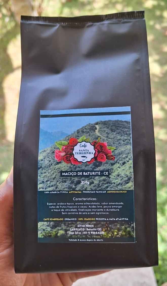 Café no Ceará: tradição de 200 anos esconde sabores surpreendentes na serra