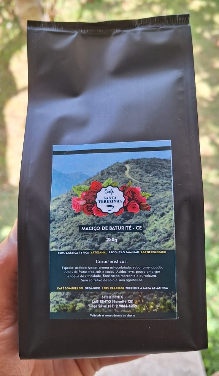 Café no Ceará: tradição de 200 anos esconde sabores surpreendentes na serra