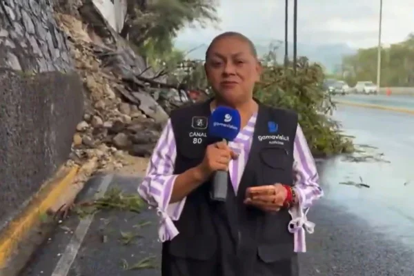 Repórter atropelada ao vivo atualiza estado de saúde: “Um milagre” - destaque galeria