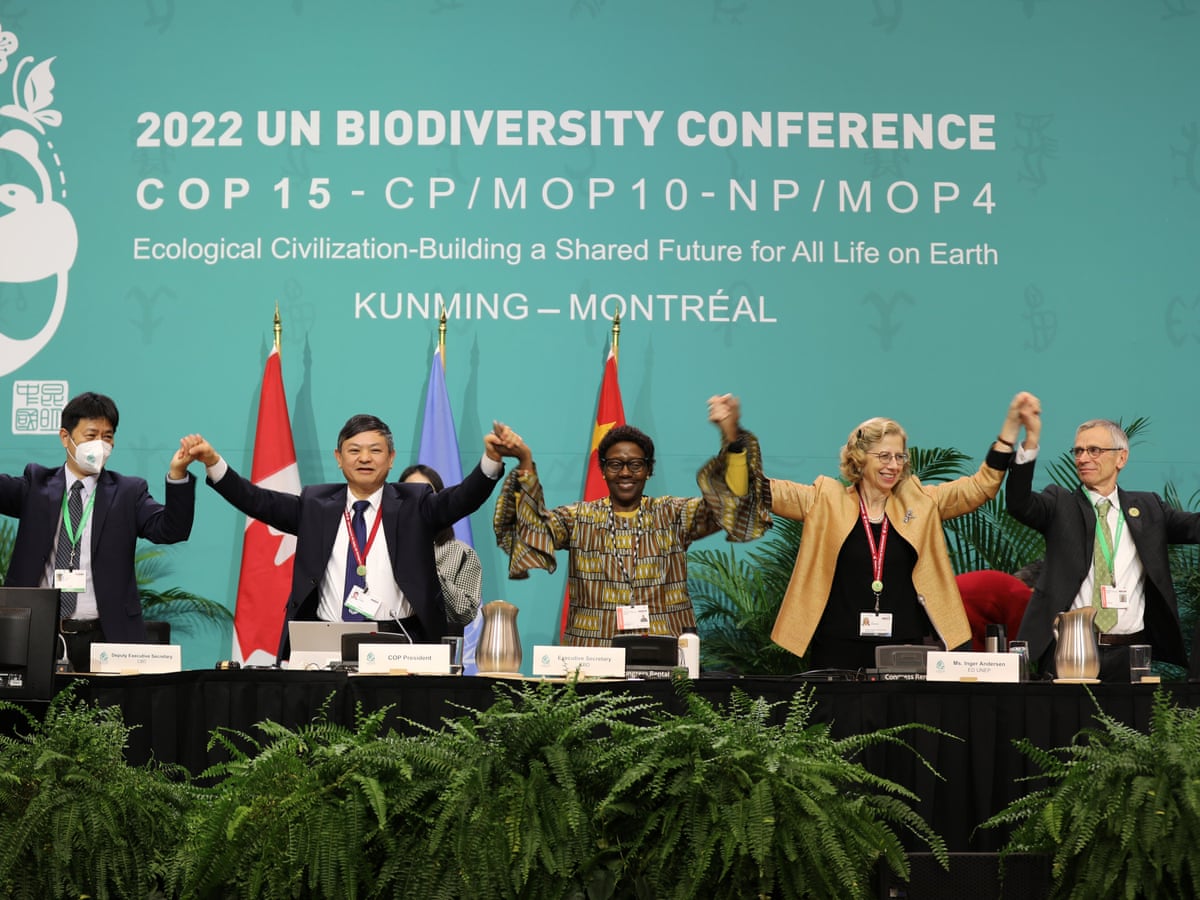 Quatro anos após as promessas da Cop15, nossos alvos de biodiversidade estão escorregando